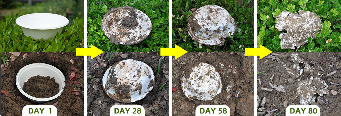 one time usable plates made of sugarcane bagasse 9inch
