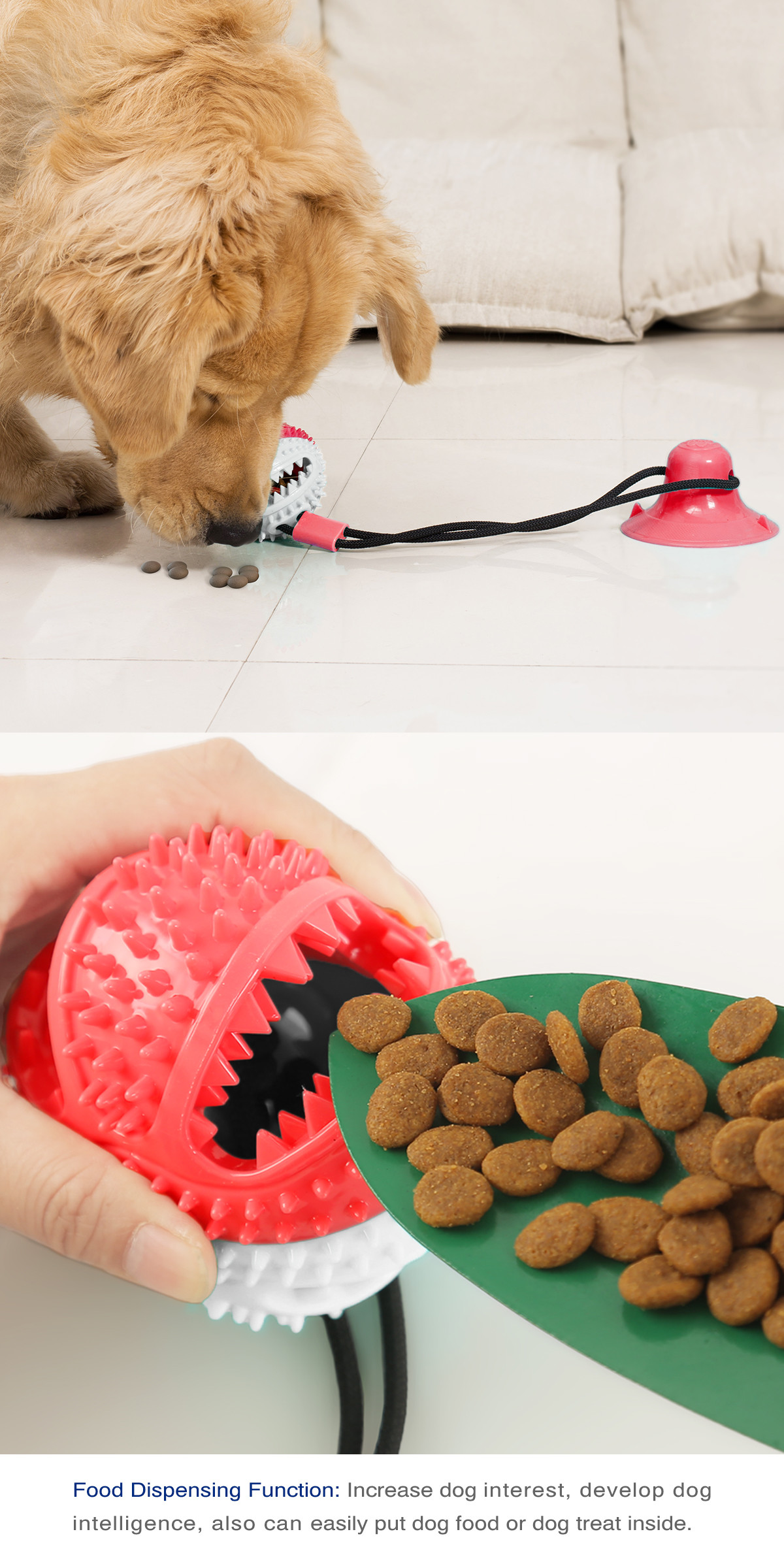 Eco Friendly Small Dog Teeth Cleaning Toys ODM Rally Training Puppy Teething Toys