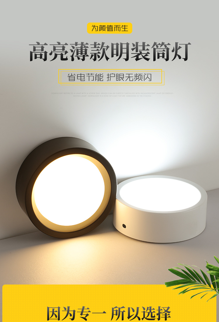 3500K LED Surface Mounted Downlight Cylindrical Surface Mount Led Ceiling Lights
