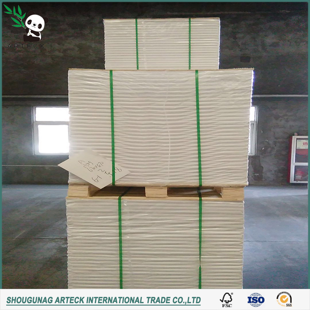 Coated 90gsm Art Paper of Snow Eagle from Big Bill in with Kaolinite Coating Material