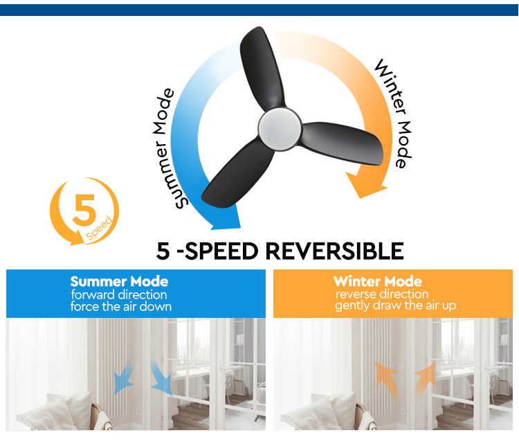 Pure Copper Motor 42-inch LED Ceiling Fan with Black ABS Blades and Metal Plastic Body