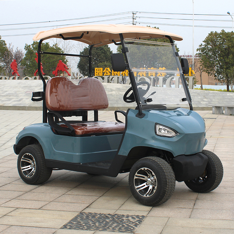 NL-G2020 48V 5KW Golf Cart Car 2 Passenger with Max. Speed 15.5mph 25khp and Tire Size 205/50-10 Tire diameter 18.1in 460mm