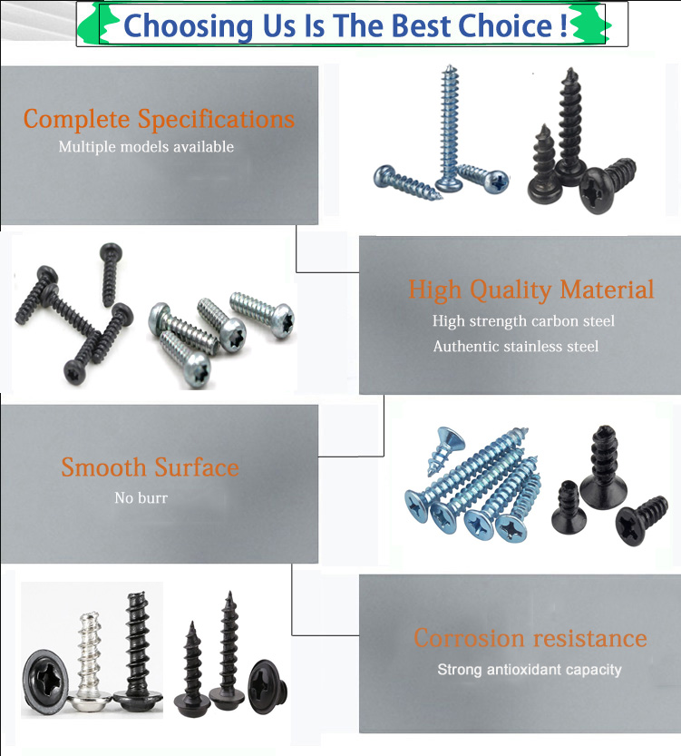 M2.5 Stainless Steel 304 Pan Head Self-Tapping Screw Din7981 for Sheet Metal- 6 8 10 12 Sizes