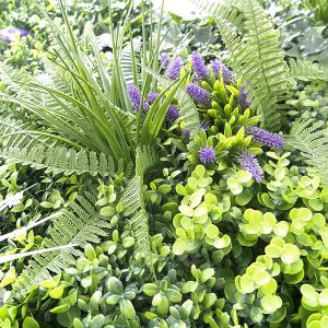 Outdoor Boxwood Indoor Artificial Living Wall Home Decoration