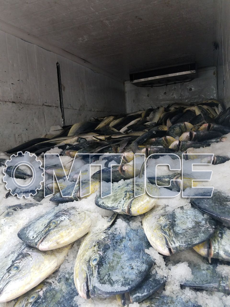 3Ton Seawater Flake Ice Machine Fishery Boats Flake Ice Making Machine German Bitzer Compressor