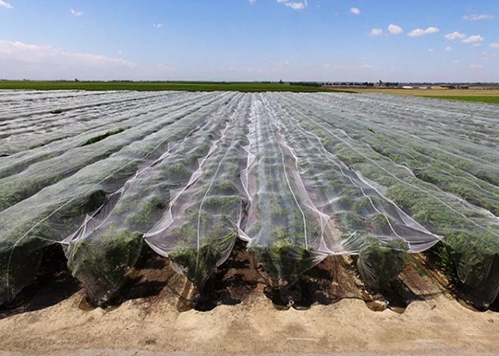 High Temperature Stuffy Shed Insect Mesh Netting Durable 29% Shade Value