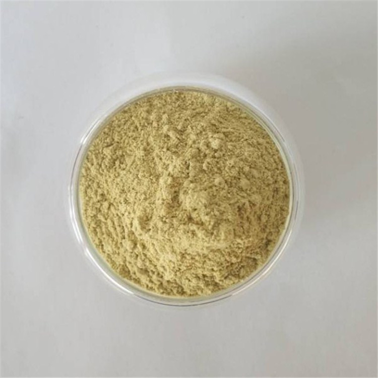 Pharmaceutical Grade Dried Ginger Powder Price