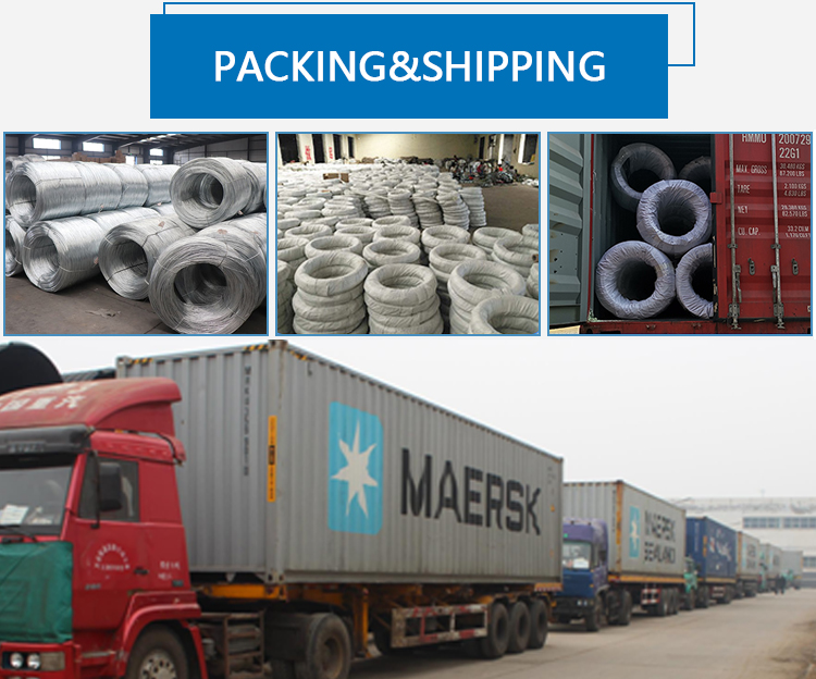 BWG8-BWG22 Electro Galvanized Binding Wire