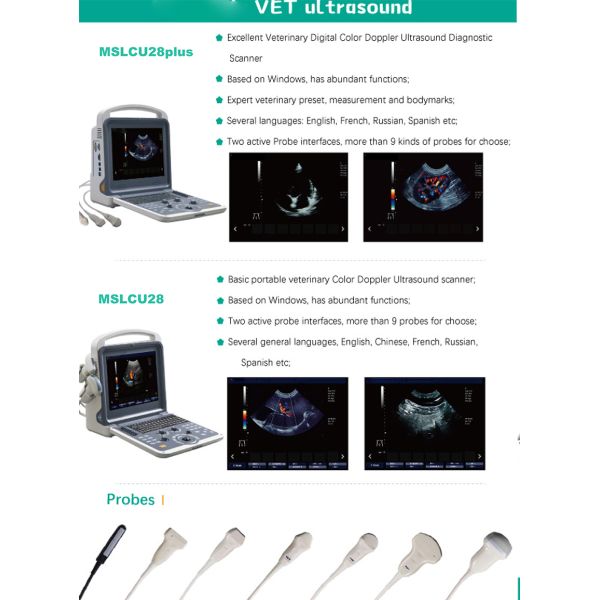 2d /3d/4d Medical Ultrasound Machine