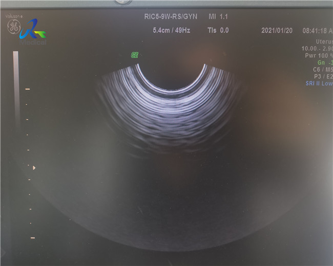 GE RIC5-9A-RS 4D Ultrasound Probe Repair Crystal Replacement