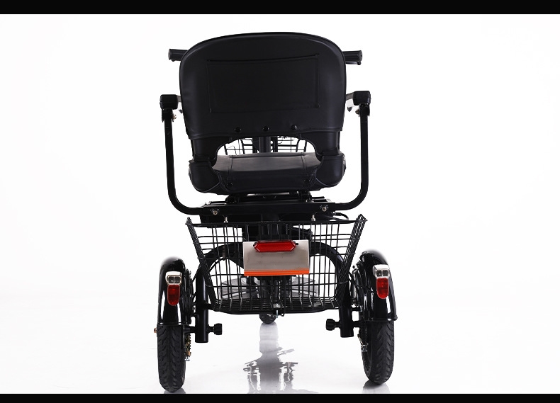 48V 300W Motor Power 12 Inch Electric Tricycle 3 Wheel Electric Bike for Adult Cargo