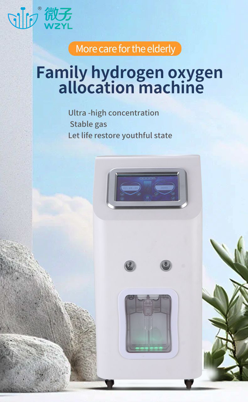 Customized 3000ml/Min PEM 99.996% Hydrogen Inhalation Machine Household Use Hydrogen Water Generators Weizi