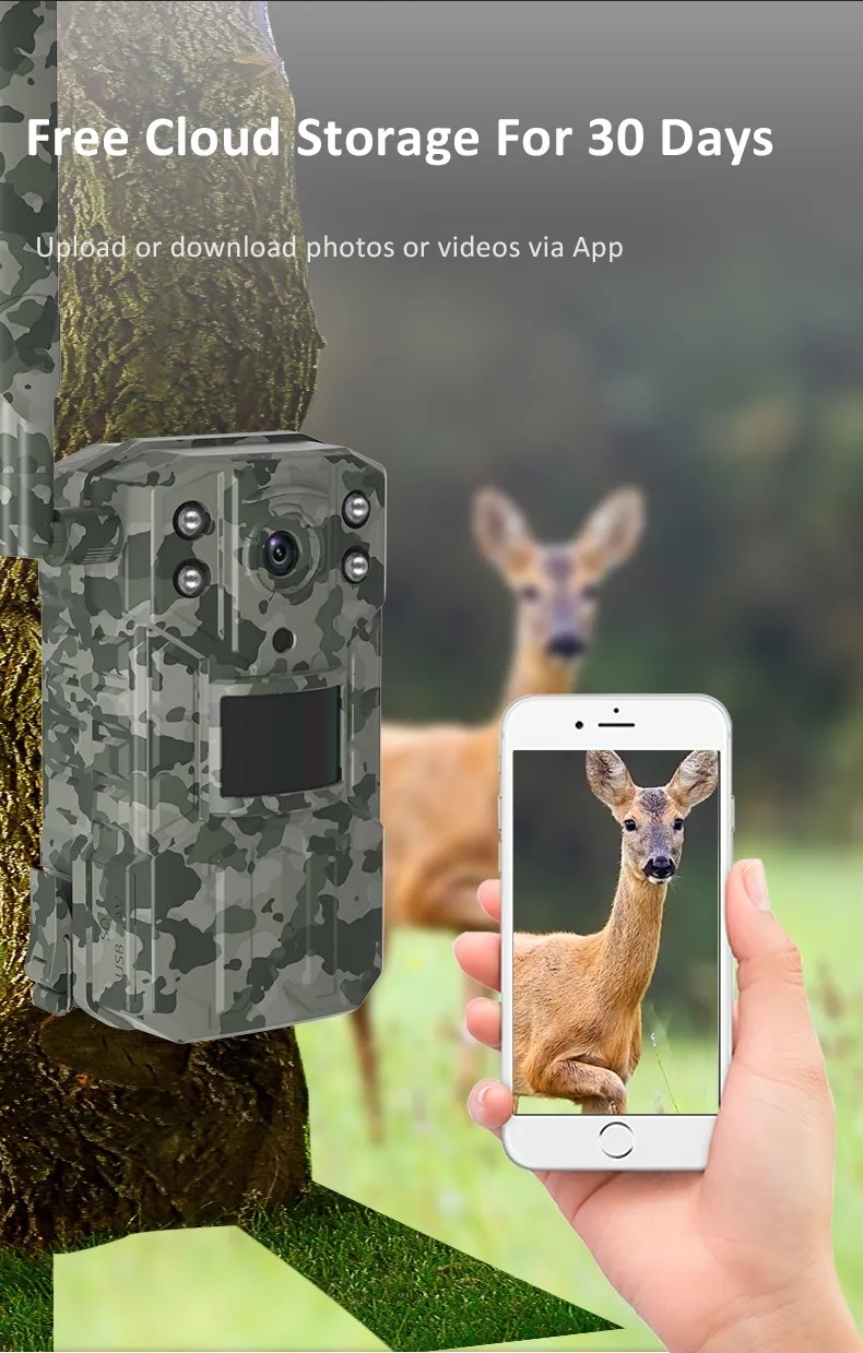 Weatherproof 4MP Outdoor Trail Camera IP66 18650 Battery With Night Vision