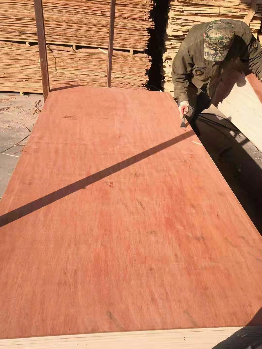 Alkaline Resistant WBP 22mm Hardwood Veneer Plywood