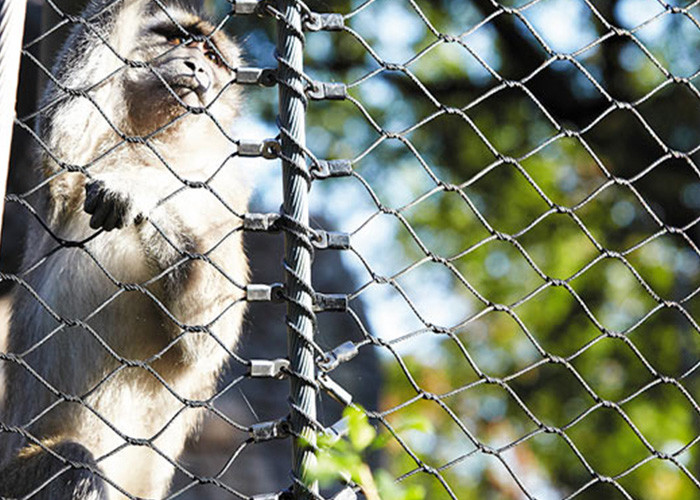 304 316 316L Stainless Steel Animal Enclosure Mesh Netting Aviary Zoo Mesh Fence