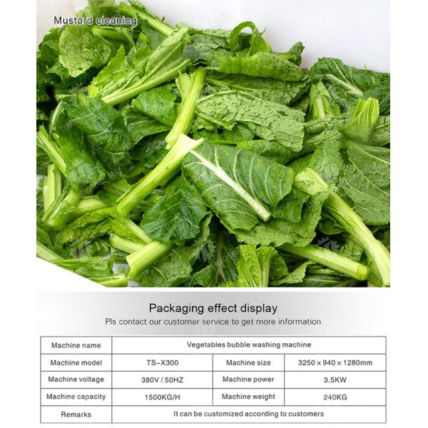 Watercress Bubble Generating Vegetable Fruit Cleaning Machine , Apricot Commercial Vegetable Washer