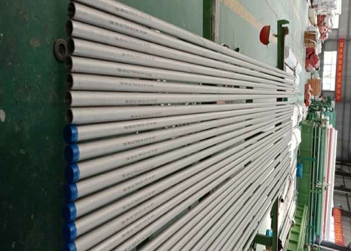 Austenitic Stainless Steel Welded Pipe A312 TP 310H BE SCH 10 DN 1.1/2" Thin Wall Steel Tubing