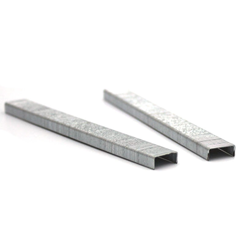 21 Gauge Staple 1/2 Crown 12mm 80 Series 8012 Furniture Decoration