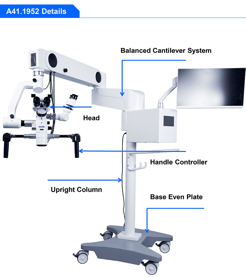 Opto Edu A41.1952 Operating Microscope Neurosurgery Brain Surgery Ent Dual Head