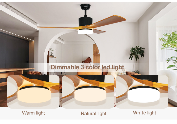 52 Inches Reversible Motor Time Setting Ceiling Fan Light for Home Hotel and Office