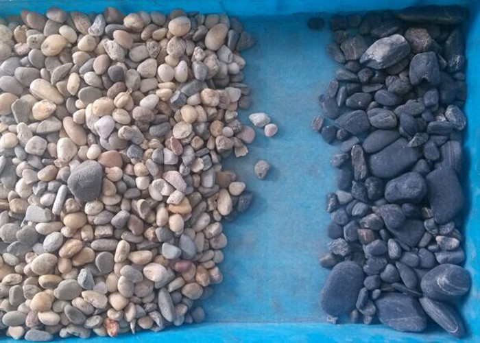 Quartz Ore Stone CCD Color Sorter Equipment With CCD Camera LED Lamps