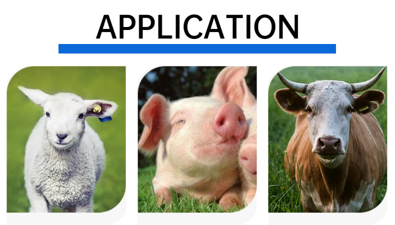Small Electronic Ear Tags Low Frequency 24mm For Piglets 134.2KHz