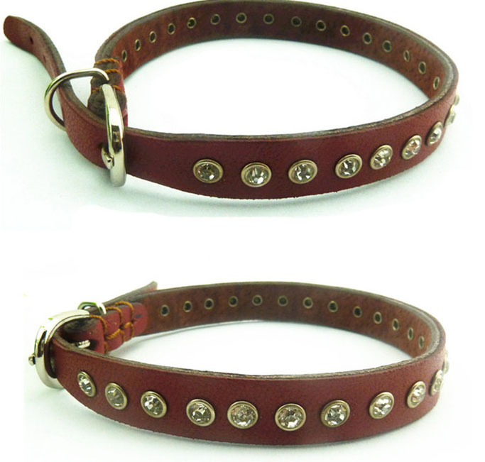 Dog Collars