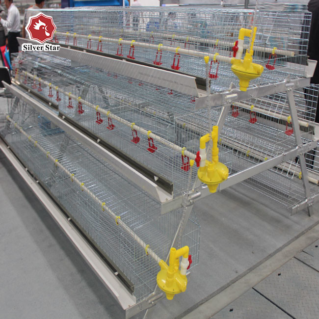 One Day Old Baby Chick Cage With Full Automatic System