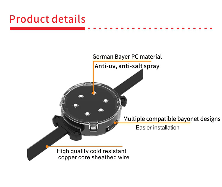 Outdoor LED Point Lights Waterproof And Fireproof IP68 SPI Controlled 12V