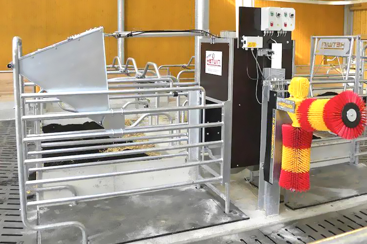 Cutting Service Q235 Low Carbon Steel Mobile Farming Shed for Chicken Pig Goat Cow