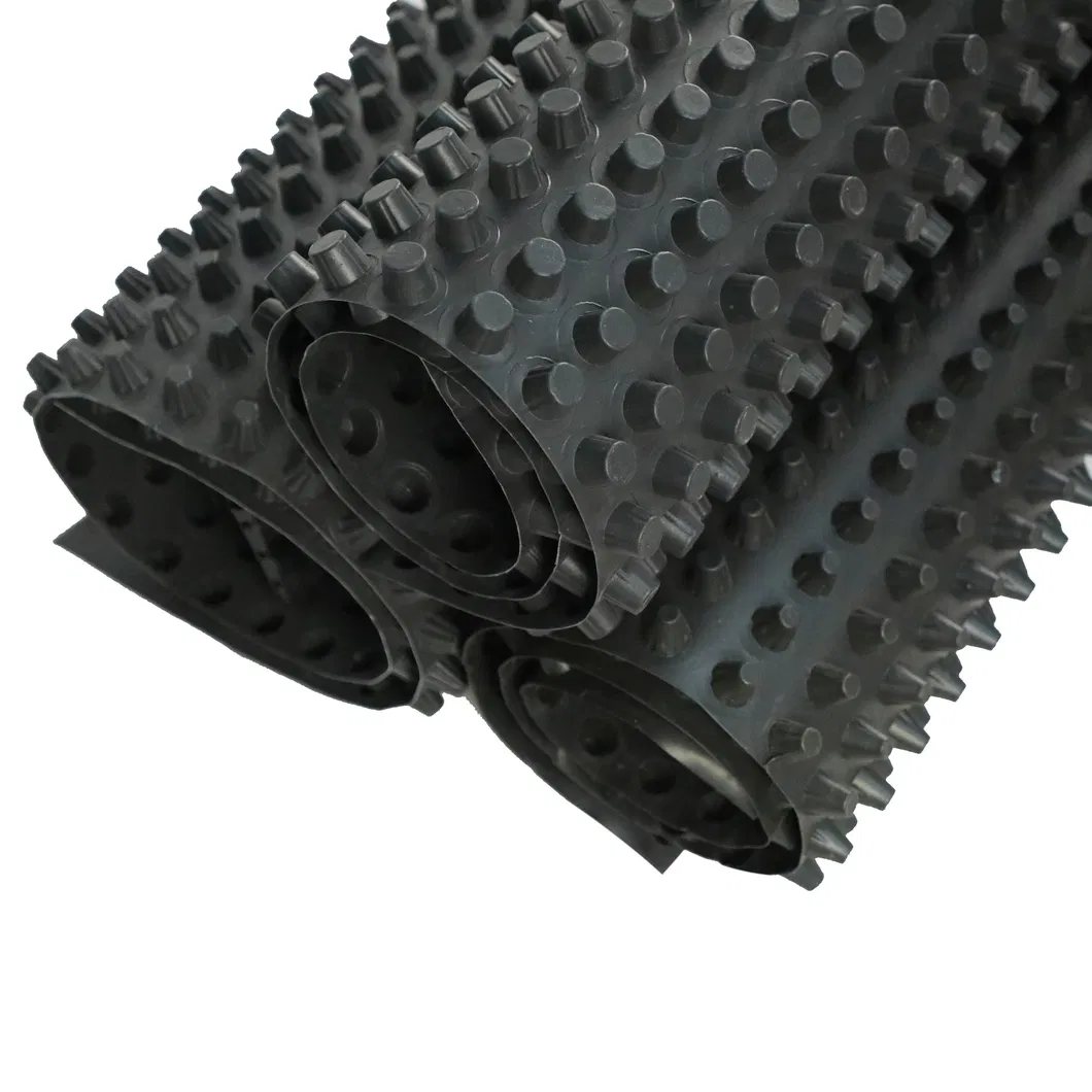 High-Quality Green Roof Dimple Board Durable Drainage Ditch Board and Versatile Wall Board for Advanced Drainage Solutions
