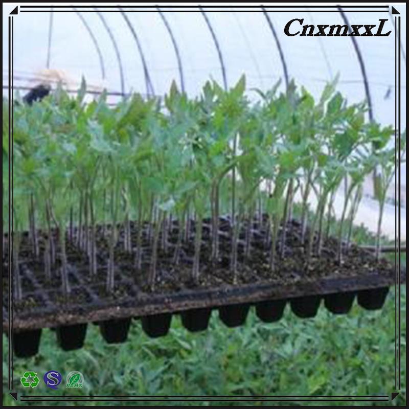 Durable whole sales plastic seedling tray (32cells /50/72/105/128/200 cells)