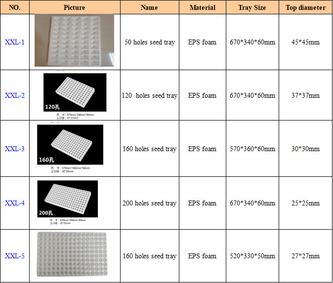 Square Hole Foam Seedling Tray Customized EPS 120 Hole Seedling Tray