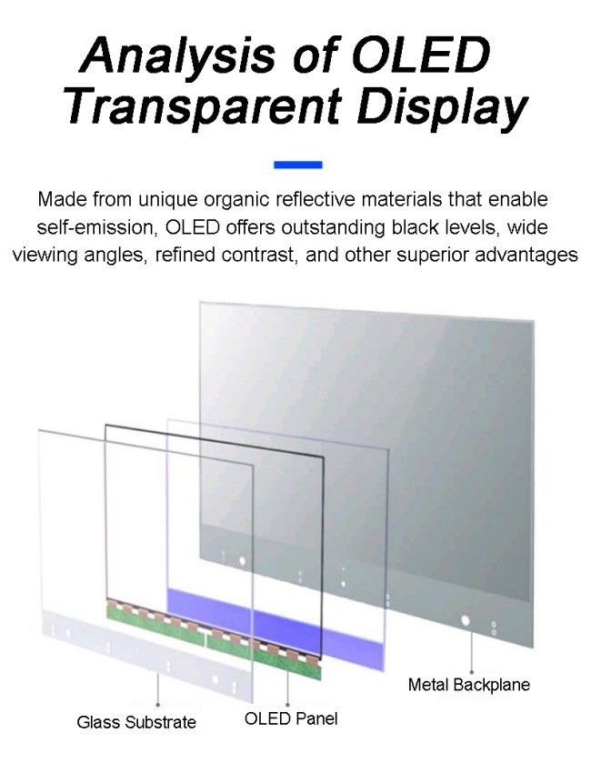Commercial Intelligent Indoor Transparantcy OLED Advertising Display Player Vertical for Theaters Museum