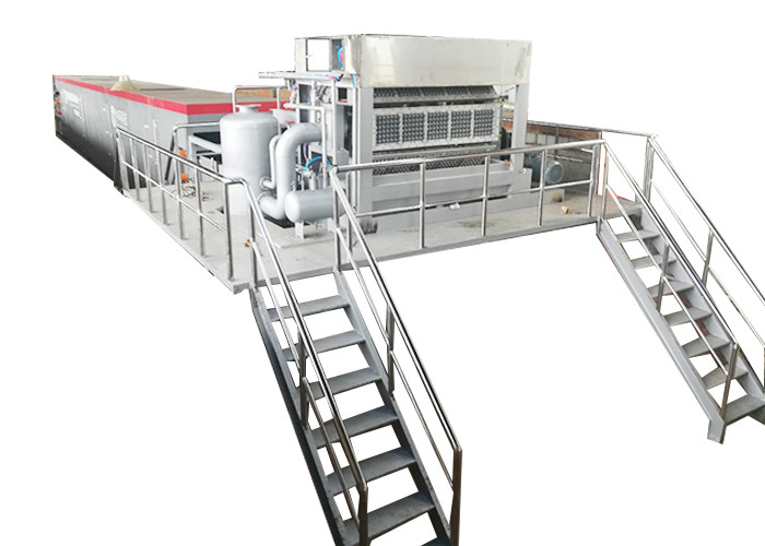 Egg Packaging Paper Tray Machine 2m hight ROHS Certified Pulp Molding