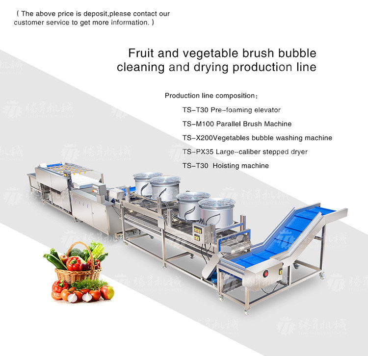 Kiwi Carrot Taro Vegetable Brush Bubble Cleaning Machine 2.5KW