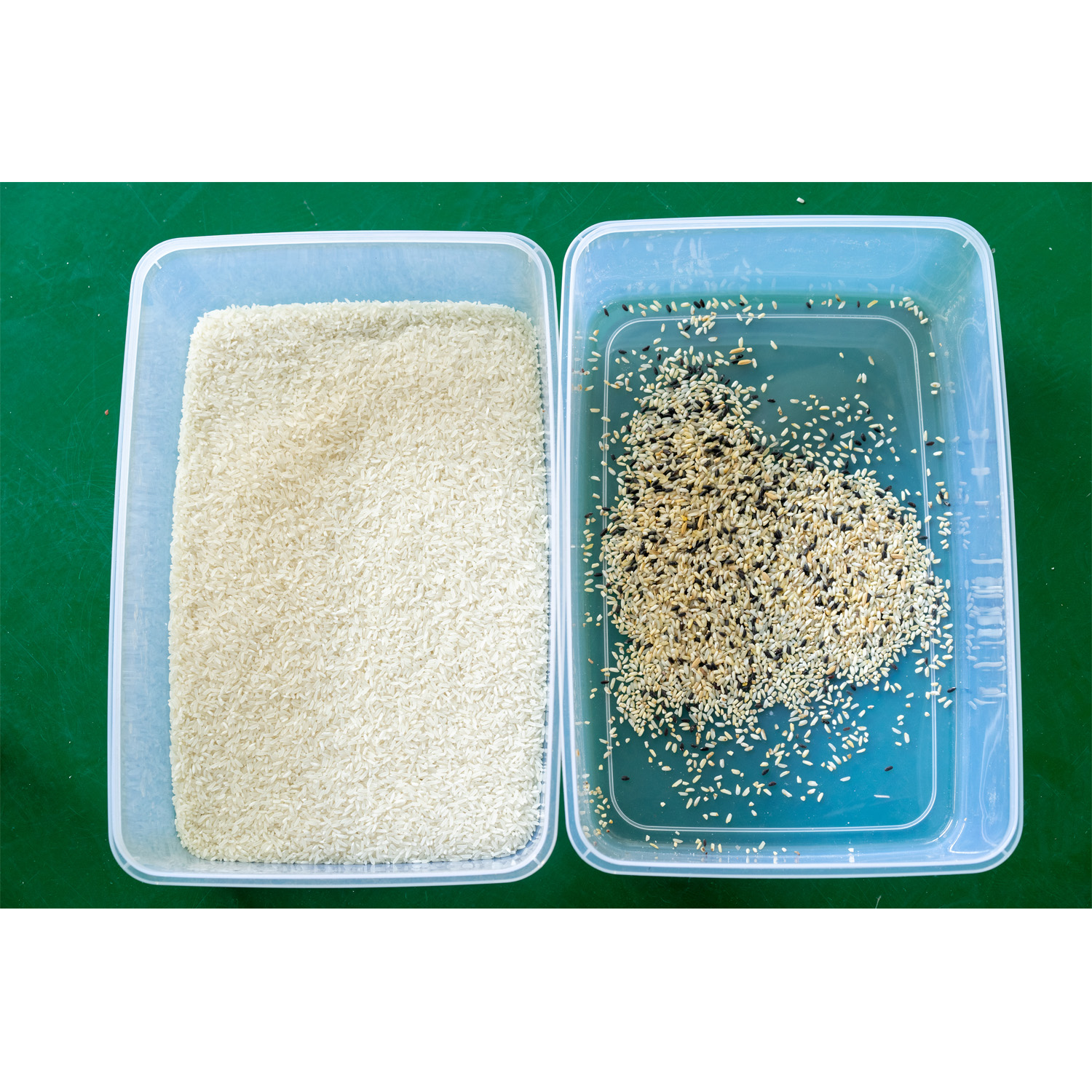 LED Source 1 Chute Grain Color Sorter CCD True Color Selection Technology