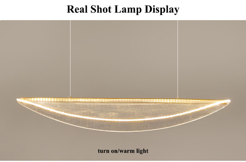 Modern LED Ceiling Pendant Lamp Home Dining Room Acrylic Lamp(WH-AP-585)