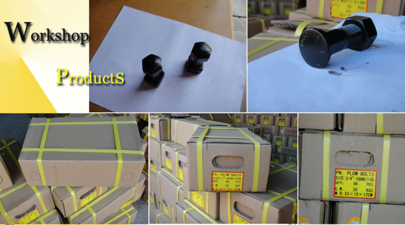 After Service Online support Excavator Bulldozer Track Shoe Plow Hex Segment Bolt and Nut