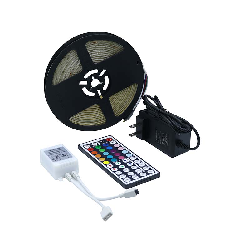 Remote Contol Dreamcolor LED Strip Lights Smd 2835 Ws2812 2811