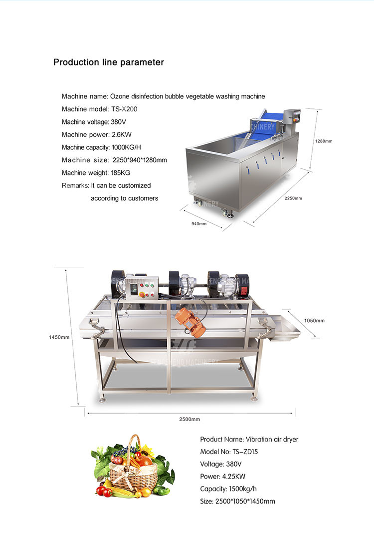 Vegetables and Fruits Bubble Cleaning Vibration Air Drying Machine Production Line