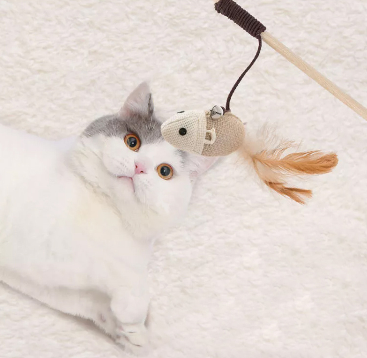M Size Cat Teaser Wand Cute Wood Cat Feather Wand OEM ODM Cat Teaser Stick