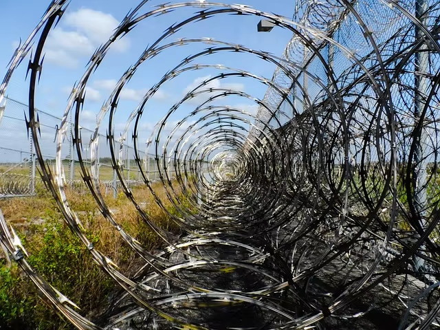 Galvanized Security Fencing Concertina Price Anti Climb Blade Barbed Wire Prison Razor Barbed Wire