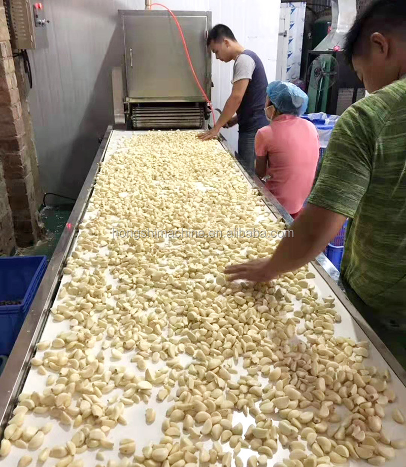 Automatic Garlic bulb breaking machine / Garlic peeler skin removing machine /Garlic peeling machine
