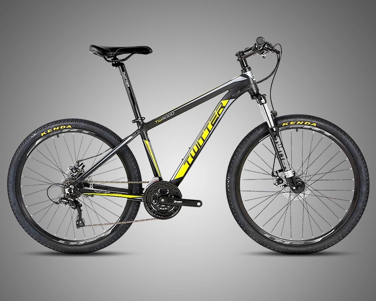Lightweight Carbon Fiber Road Bike Road Racing Bicycle 24 Speed Gears CE