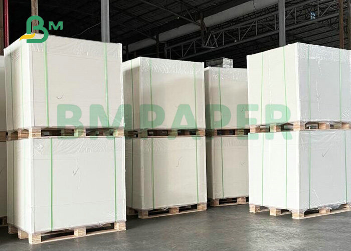 250gsm 270gsm Single Side Coated Ivory Paper For Packing & Printing 