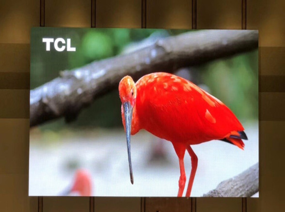 P3.91 Indoor Rental LED Display Screen , Cabinet 500*500mm For Stage, Wedding