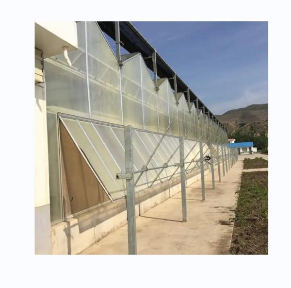 Vegetable Fruits Flowers Multi Span Agricultural Greenhouses With Hydroponic