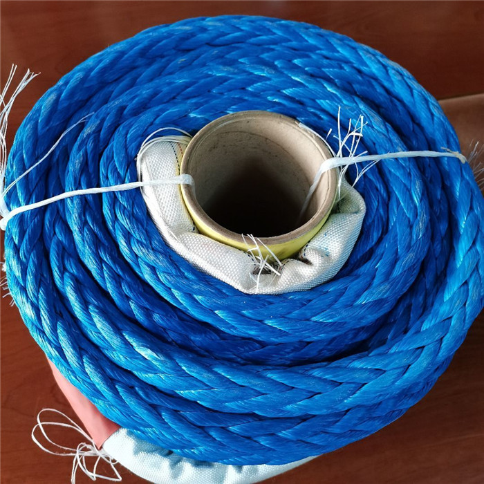 Low Stretch Flexible 12 Strand Single Braid UHMWPE Amsteel Rope 1/4"