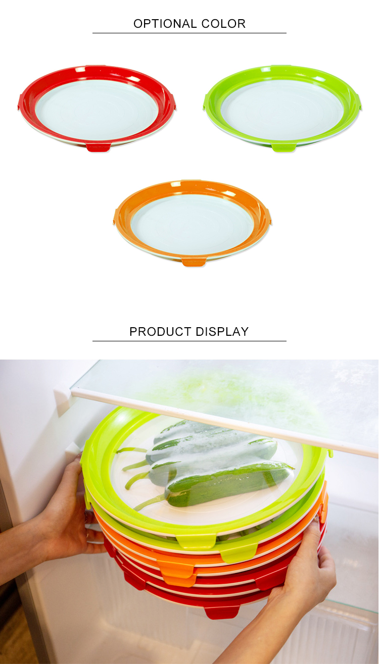 FDA Standard Private Logo Plastic Serving Clever Trays